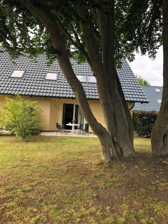 Ferienwohnung 'Bei Den Buchen' Zempin Exteriör bild